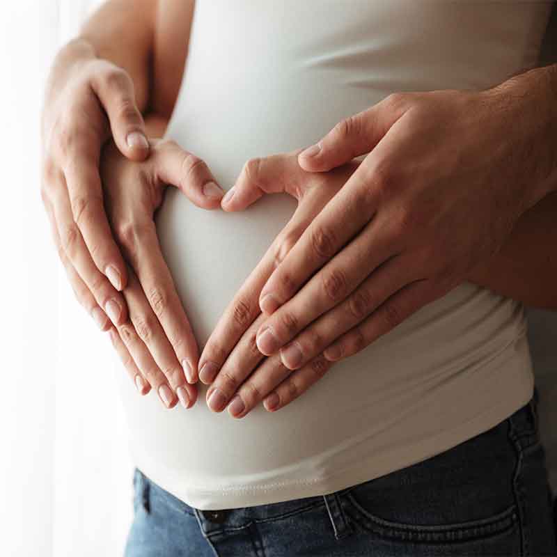 مراحل بارداری