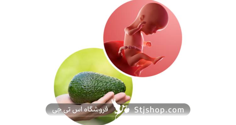 وضعیت جنین در هفته شانزدهم بارداری