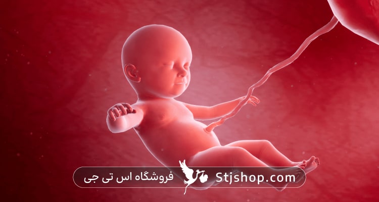 هفته سی و هفتم بارداری چه علائمی دارد؟ + راهنمای کامل صفر تا صد