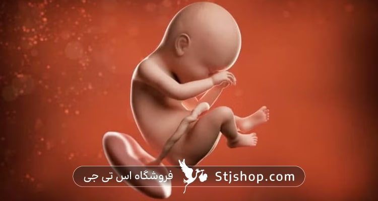 هفته سی و هشتم بارداری چه علائمی دارد؟ + راهنمای کامل صفر تا صد