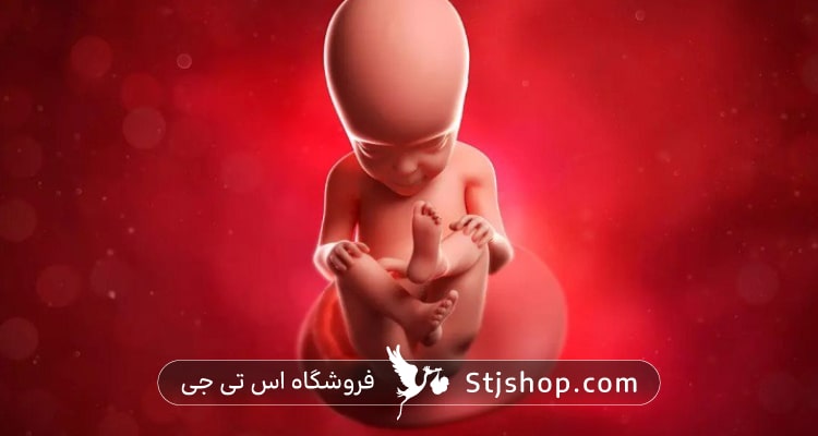 هفته بیست و هفتم بارداری چه علائمی دارد؟ + راهنمای کامل صفر تا صد