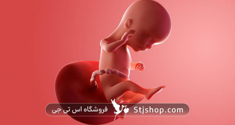 هفته شانزدهم بارداری چه علائمی دارد؟ + راهنمایی کامل صفر تا صد