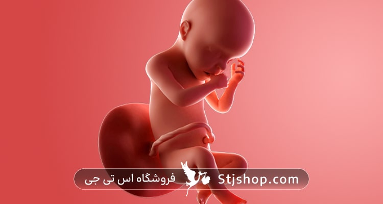 هفته بیست و هشتم بارداری چه علائمی دارد؟ + راهنمای کامل صفر تا صد