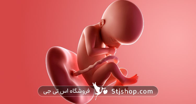 هفته بیست وسه بارداری چه علائمی دارد؟ + راهنمایی کامل صفر تا صد