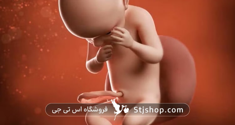 هفته بیست و نهم بارداری چه علائمی دارد؟ + راهنمای کامل صفر تا صد