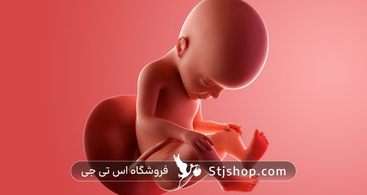 هفته سی ام بارداری چه علائمی دارد؟ + راهنمای کامل صفر تا صد